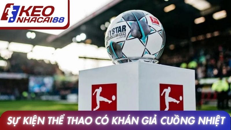 Bundesliga 12 Sự kiện thể thao vua có khán giả cuồng nhiệt