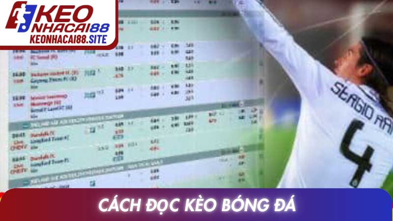 Cách đọc kèo bóng đá - Hướng dẫn chi tiết và chuẩn xác nhất 1 Cách đọc kèo bóng đá - Hướng dẫn chi tiết và chuẩn xác nhất